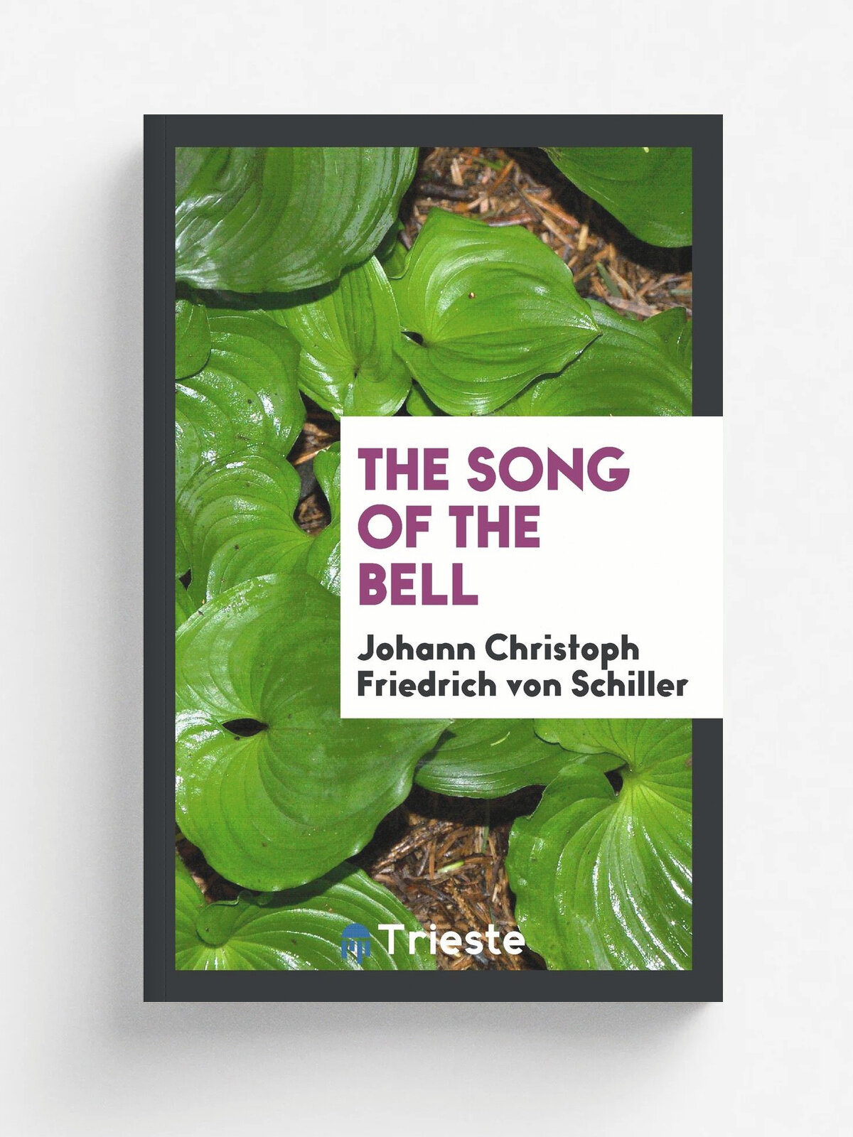 The song of the bell