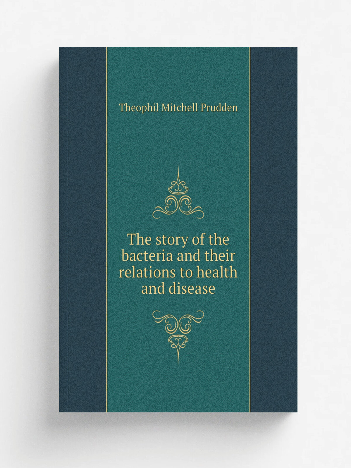 The story of the bacteria and their relations to health and disease