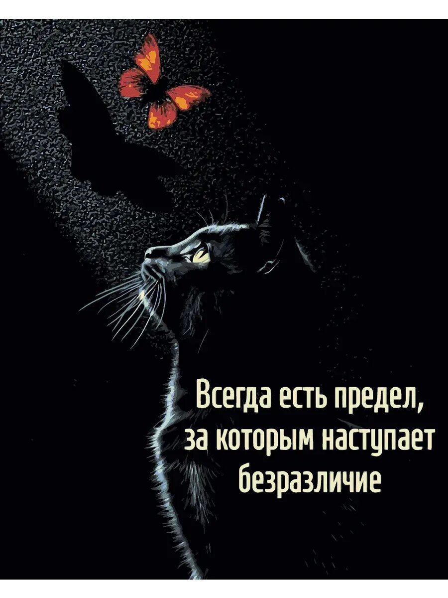 Картина по номерам 30x40 Мудрый кот