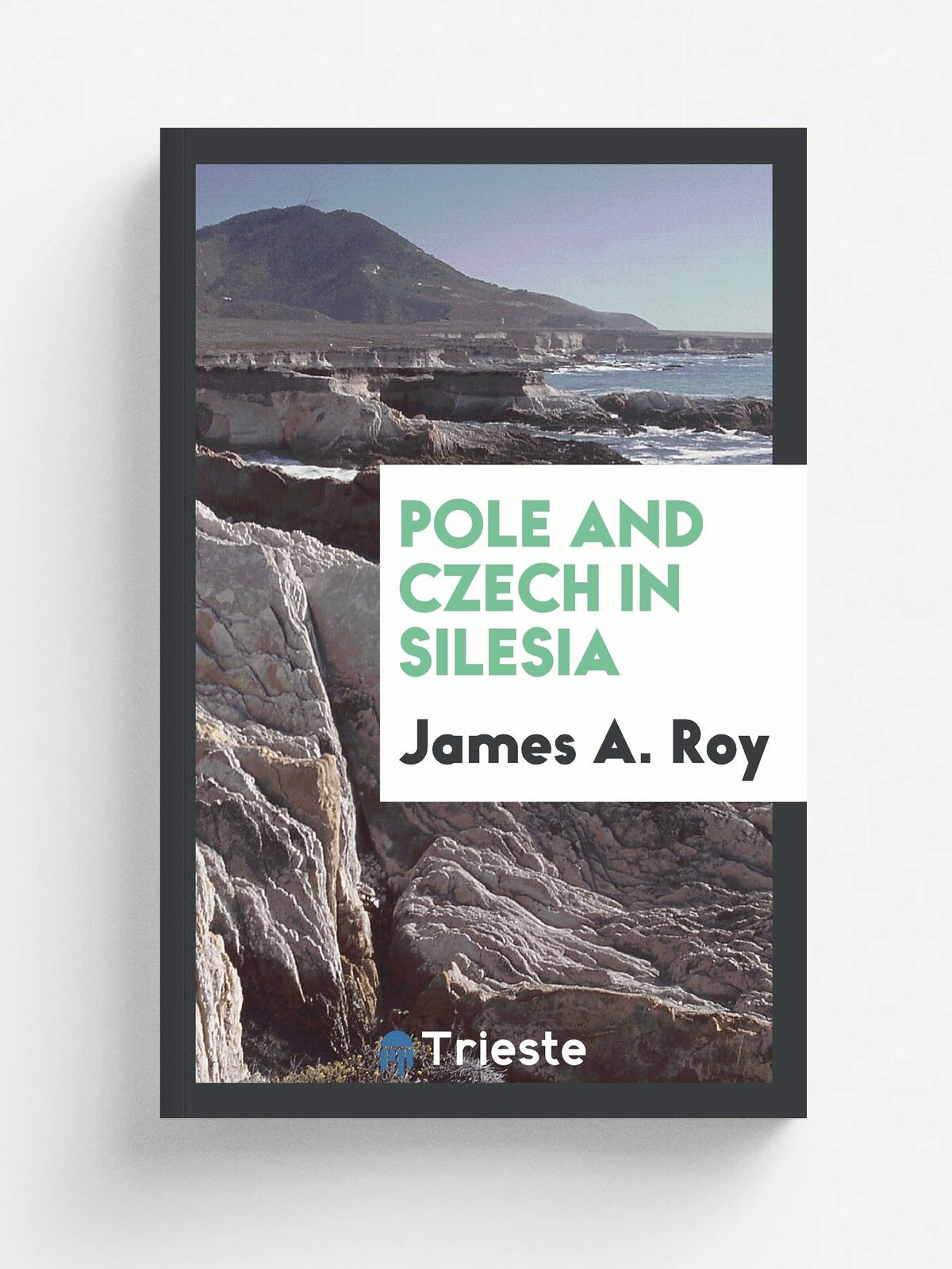 Pole and Czech in Silesia