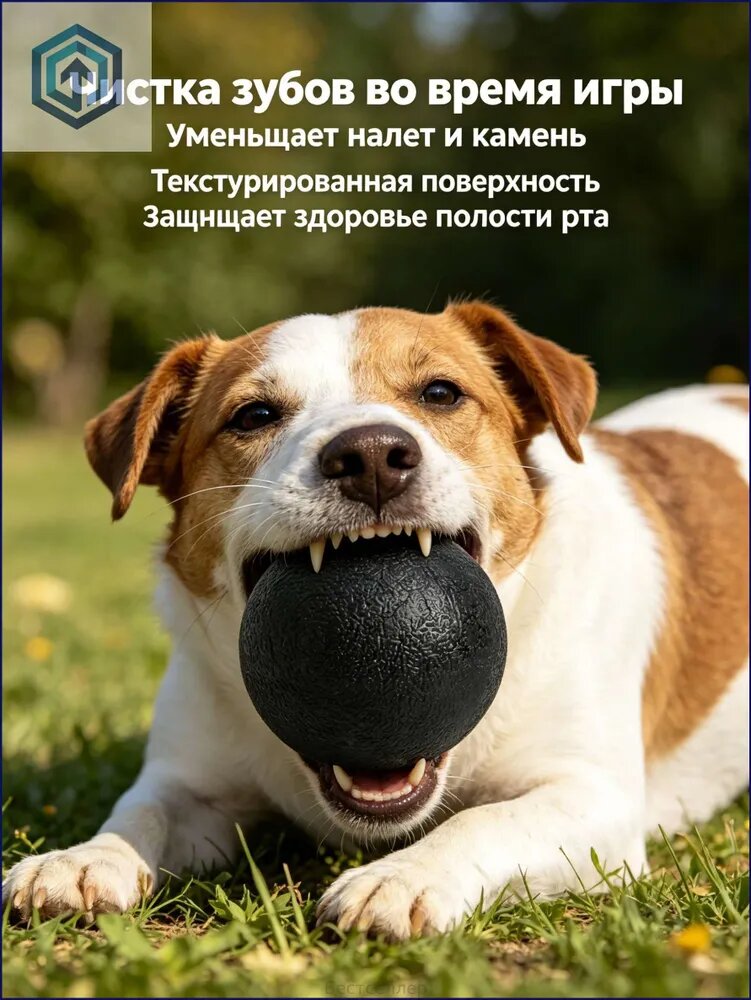 Игрушка для собак WOGY 7см, 200гр, для крупных и средних пород, мяч литой, прочный мячик