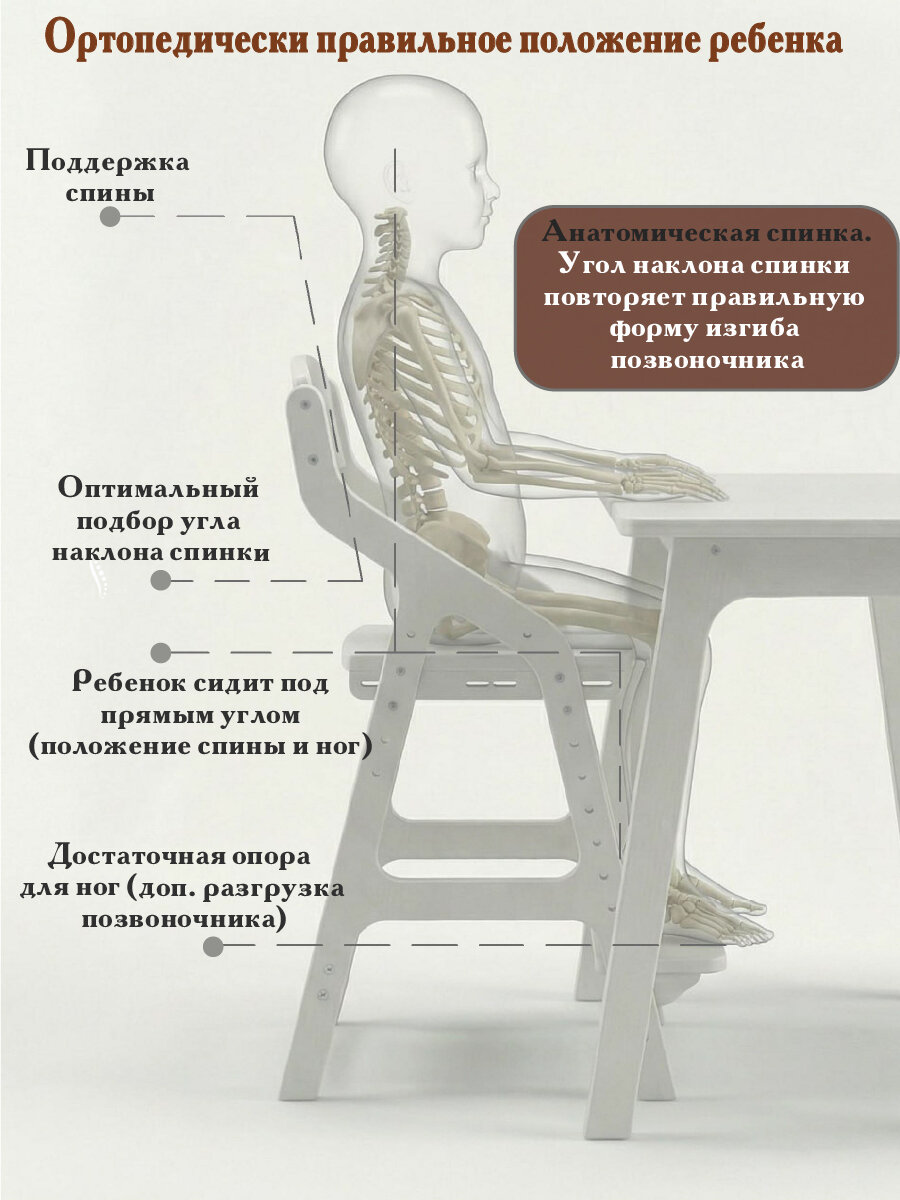 Детский растущий стул для школьника "Школьник - 2" (белый) — фото 1