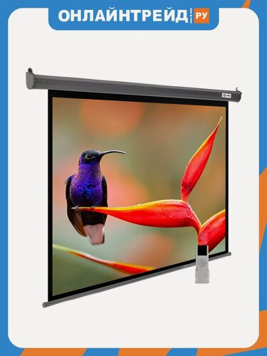 Изображение товара Экран Cactus 138x220см SIlverMotoExpert CS-PSSME-220X138-DG 16:10 настенно-потолочный рулонный