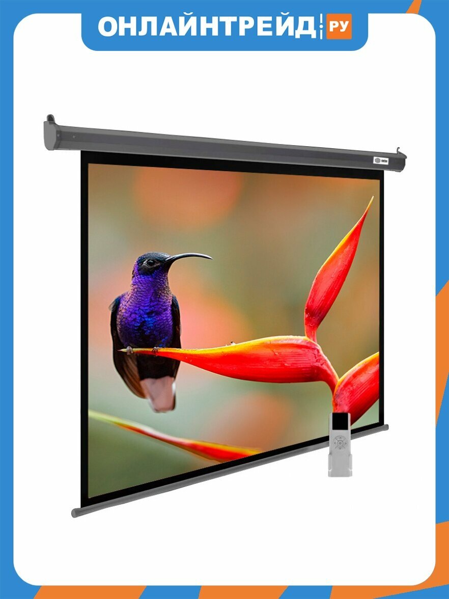 Экран Cactus 138x220см SIlverMotoExpert CS-PSSME-220X138-DG 16:10 настенно-потолочный рулонный