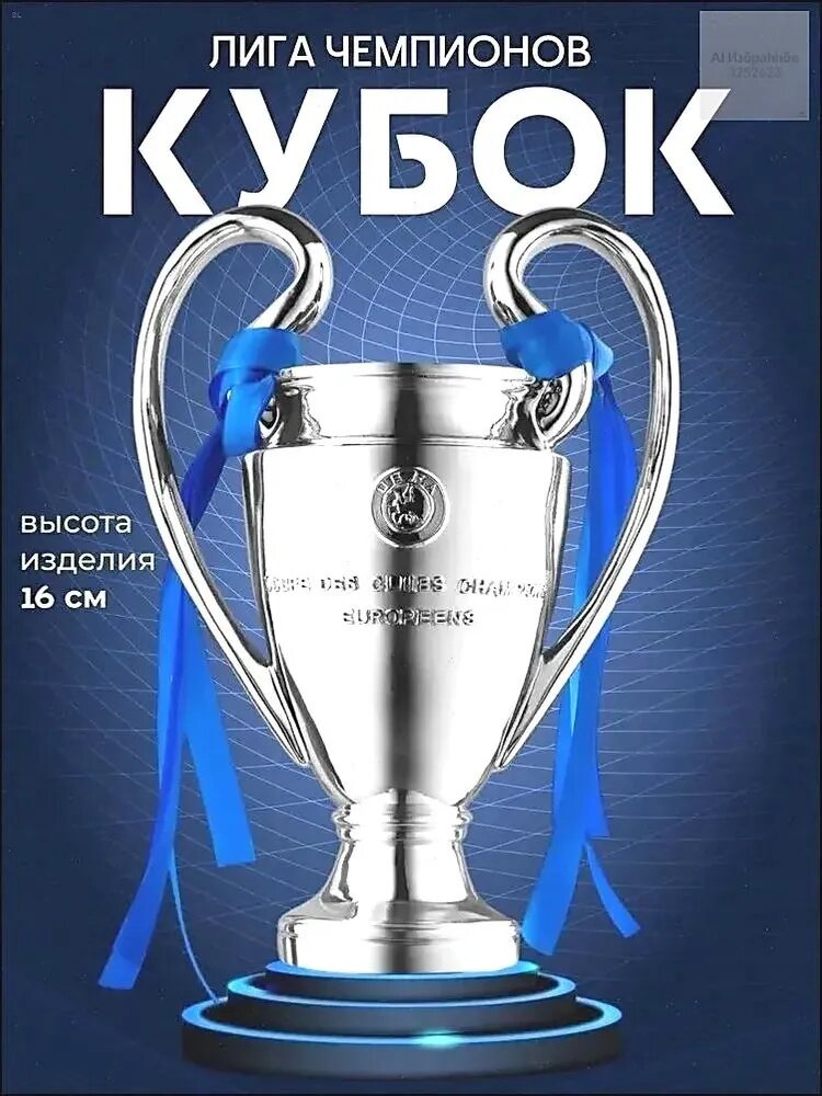 Футбольный кубок Лиги чемпионов УЕФА 2024 года Реал Мадрид , высота: 16 см