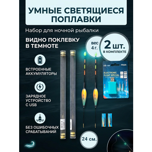 Комплект умных поплавков херабуна на карася 4 гр для ночной рыбалки 2 шт, 24 см в тубусе +зарядка + 2 аккумулятора