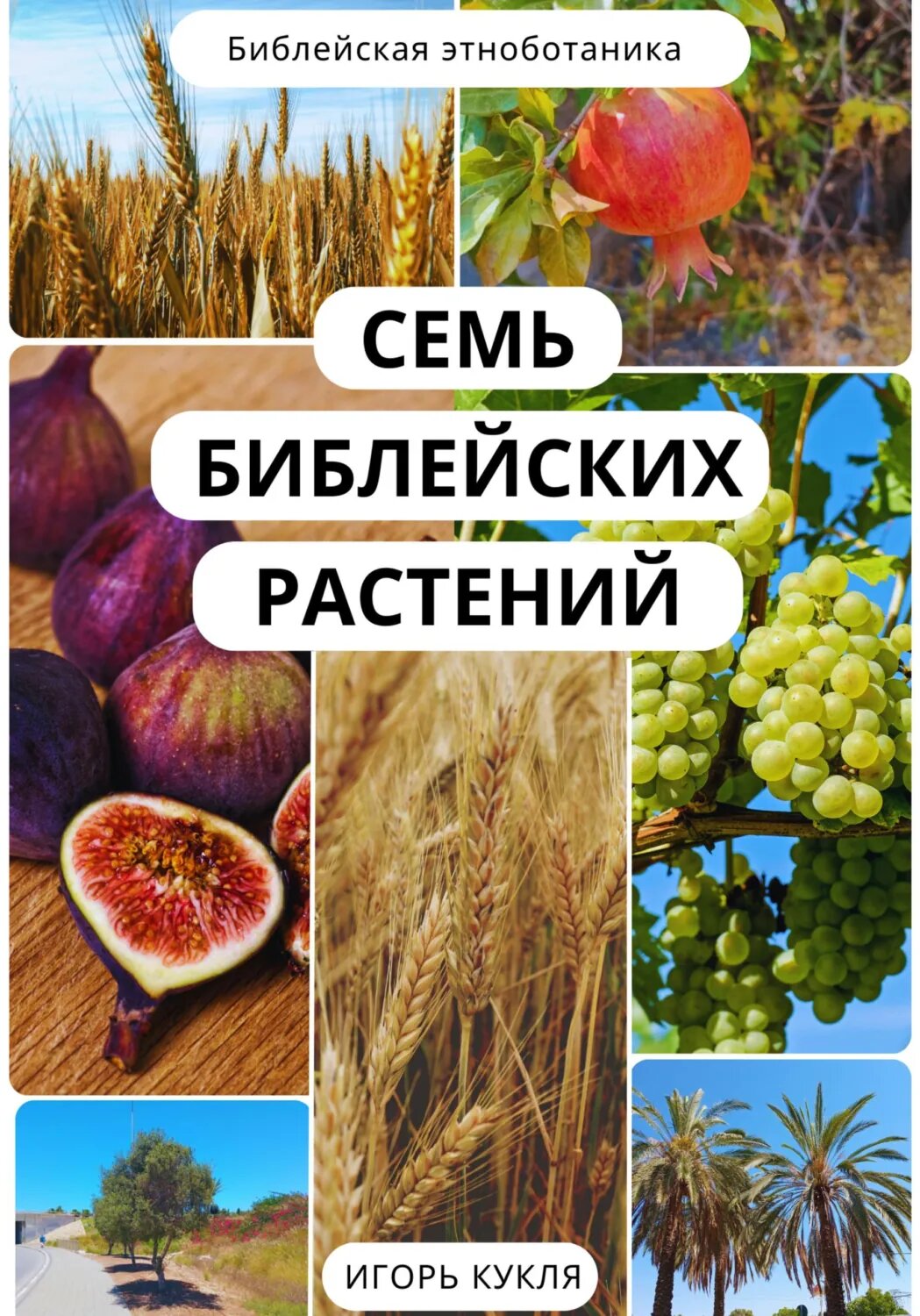 Семь Библейских Растений [Цифровая книга]