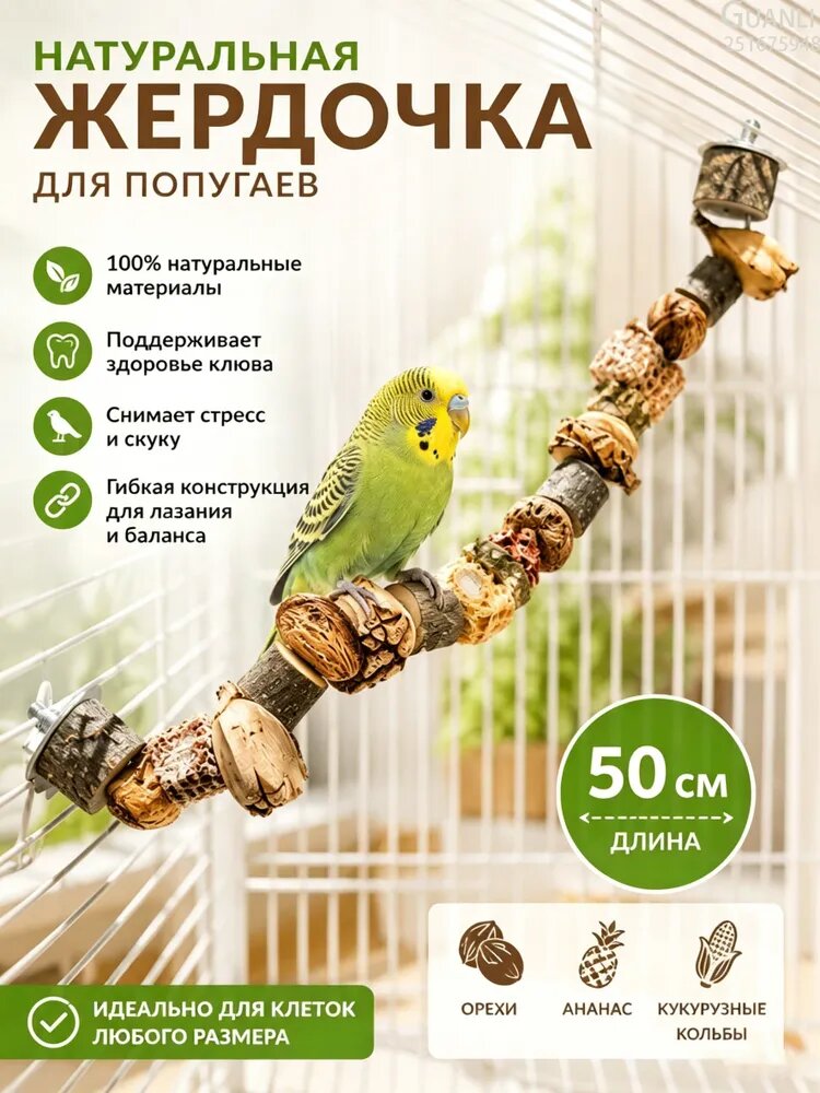 Стойка для клетки с попугаем, может жевать и измельчать орехи и кукурузные початки, 50см
