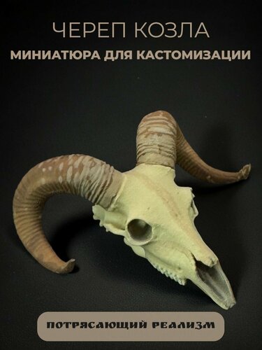 Изображение товара Череп козла миниатюра для декора, настольных игр, тематических предметов, фентези-атрибутов, диорам и инсталяций.