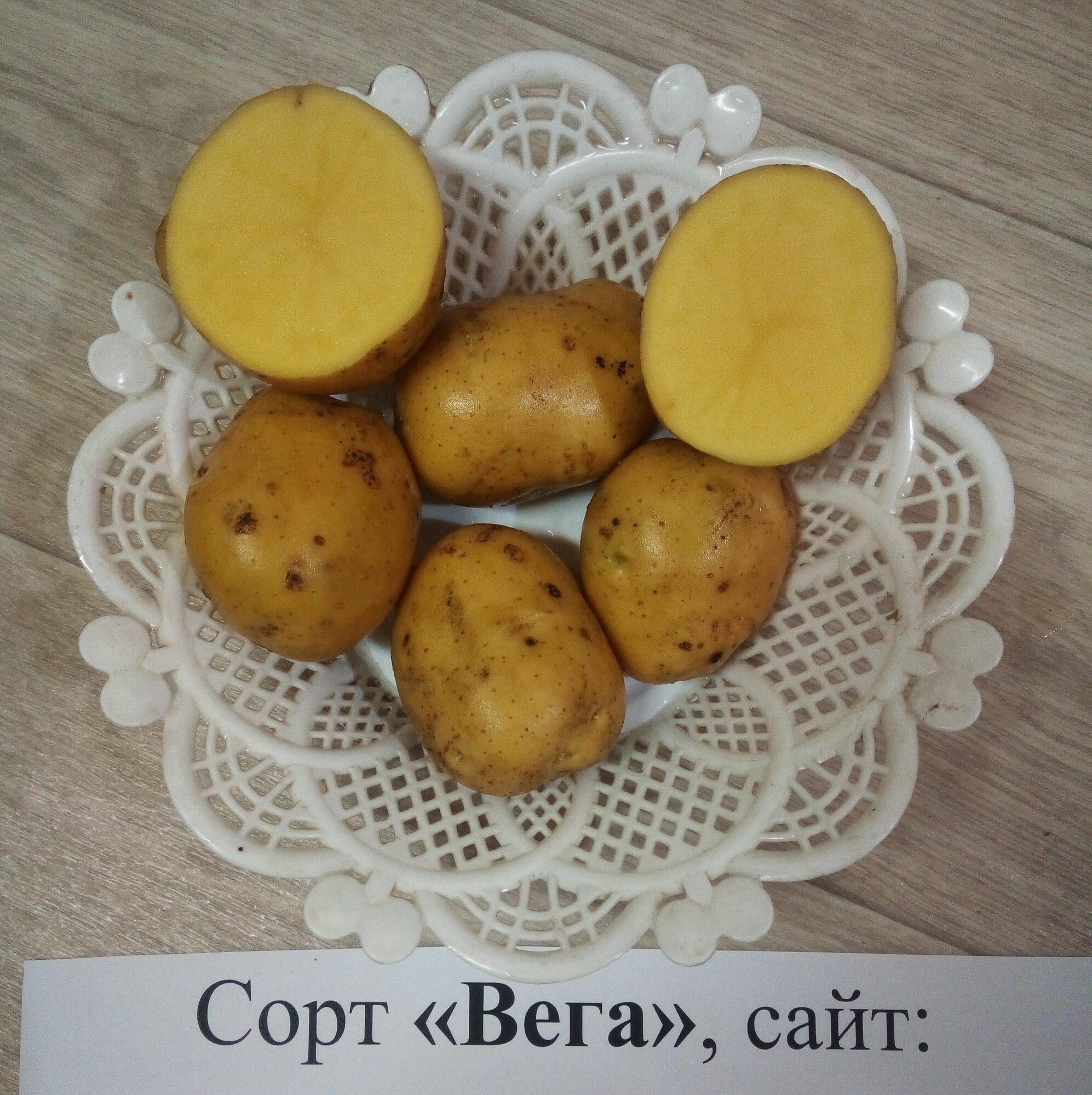 Вега - 2 кг
