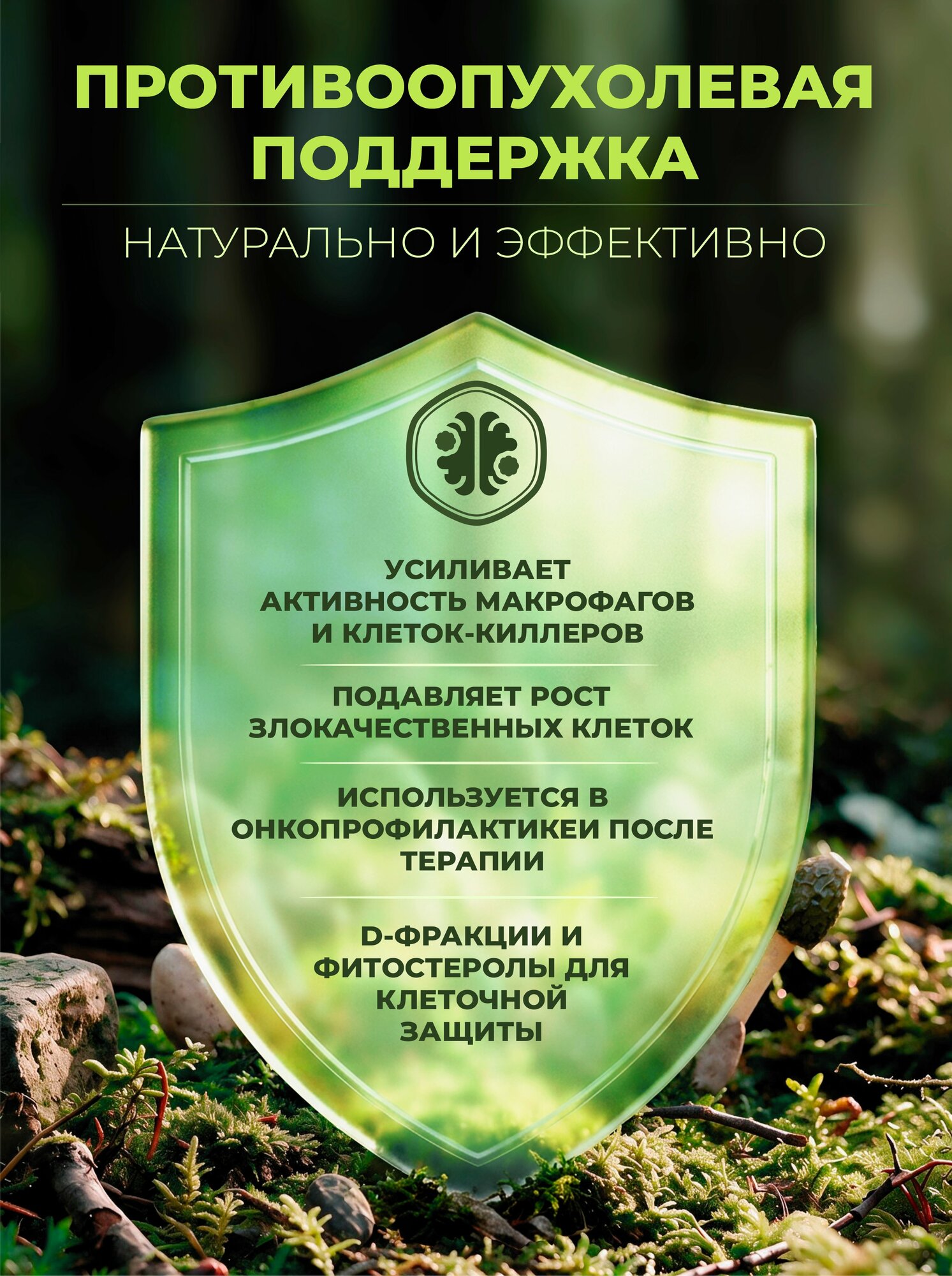 Экстракт гриба Веселка обыкновенная - Настойка гриба Веселка, 250 мл — фото 1