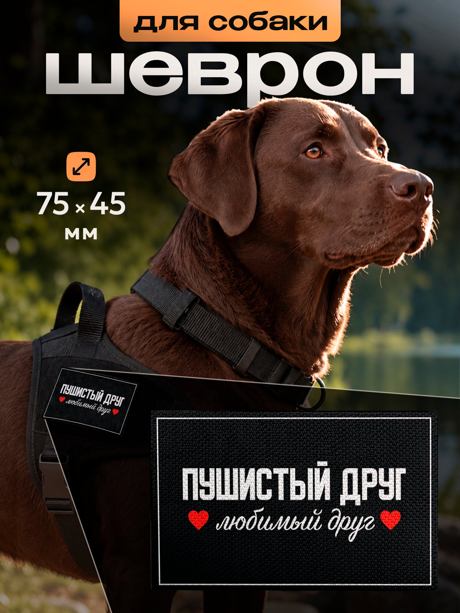 Шеврон для собак на липучке