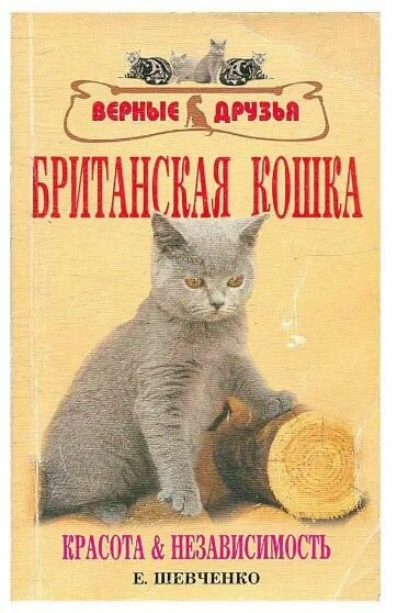 Британская кошка. Красота и независимость