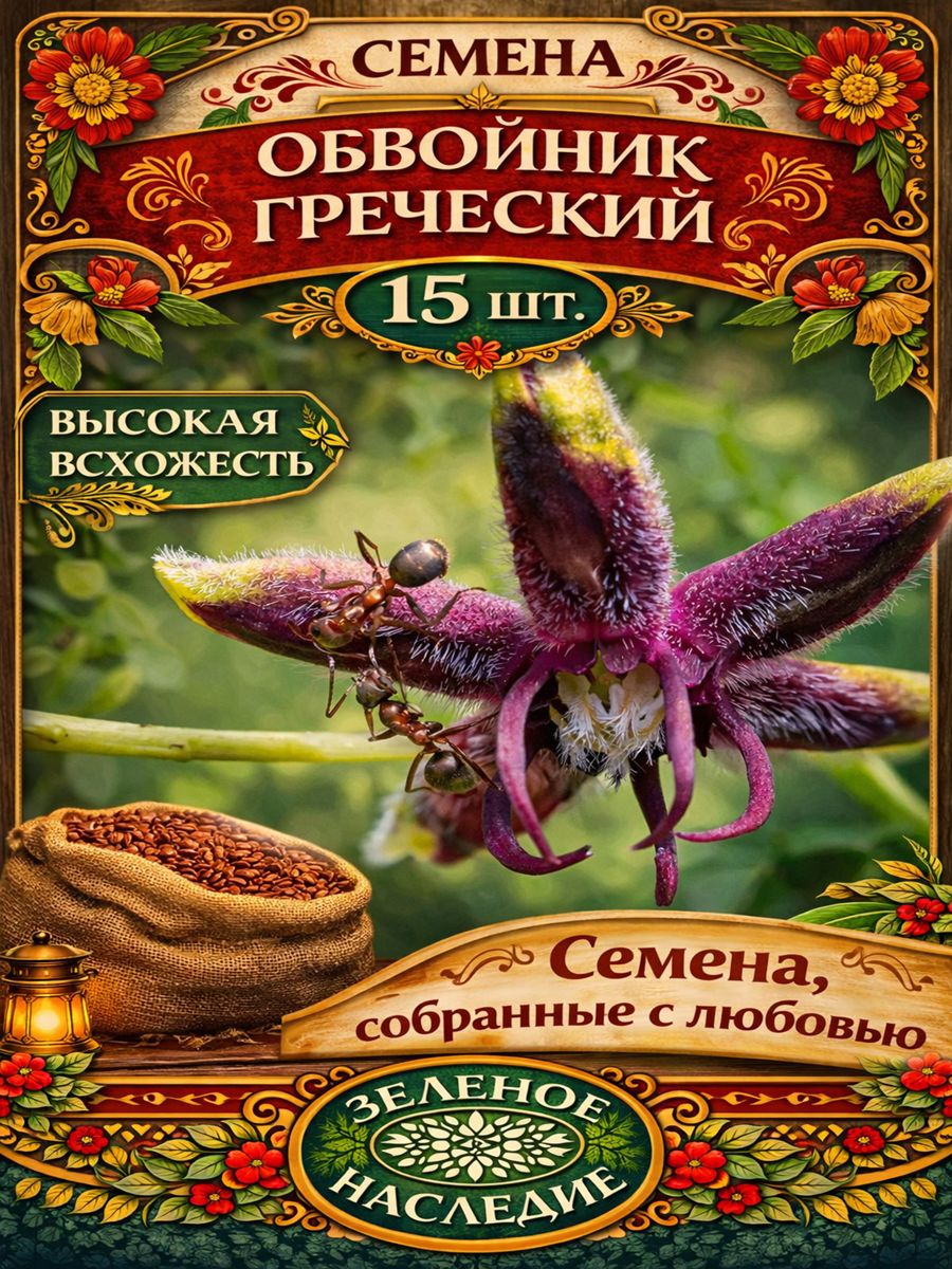 Семена Обвойник Греческий - Вьющаяся лиана (лат. Periploca graeca) 15шт