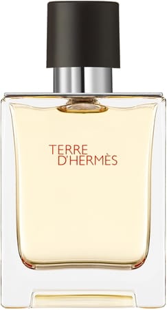 Туалетная вода Herm s Terre d Herm s, 50 мл
