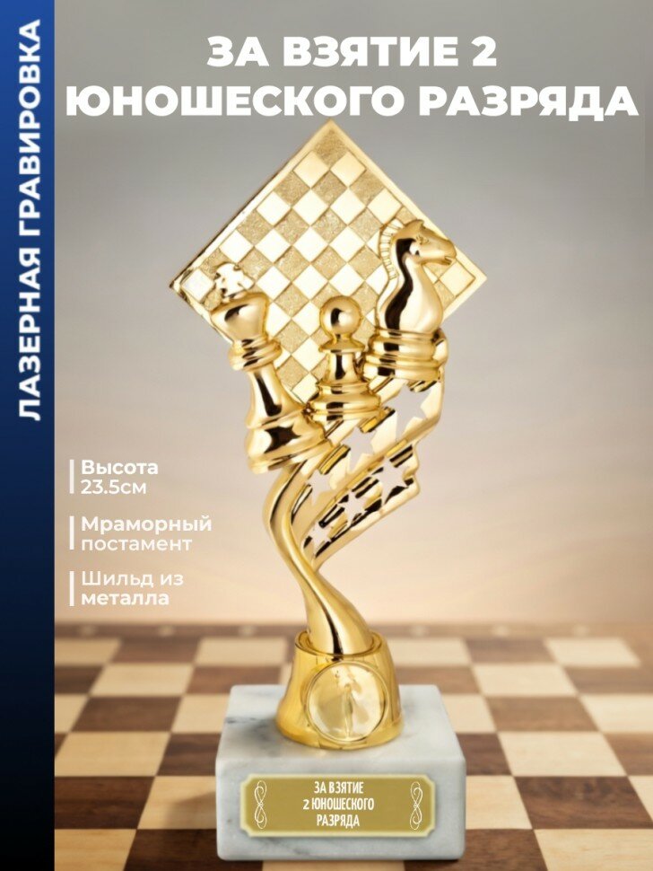 Кубок шахматы "За взятие 2 юношеского разряда" (23,5 см)
