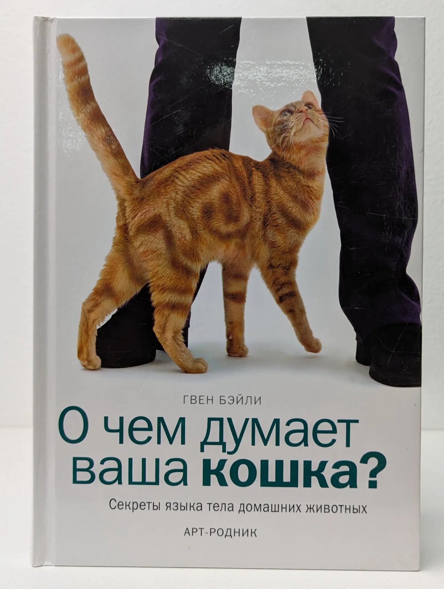 О чем думает ваша кошка? Секреты языка тела домашних животных Бэйли Гвен 2004