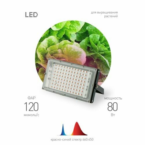 Прожектор светодиодный FITO-80W-RB-LED-Y 80Вт для растений красн./син. спектр IP65 Эра Б0053082