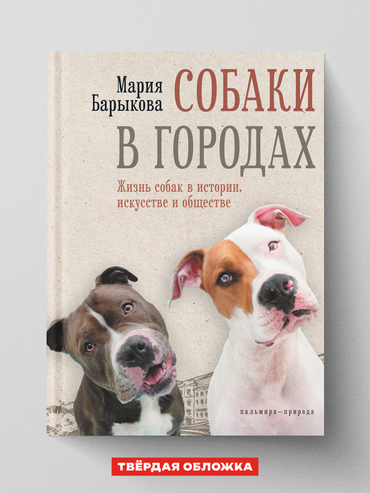 Собаки в городах