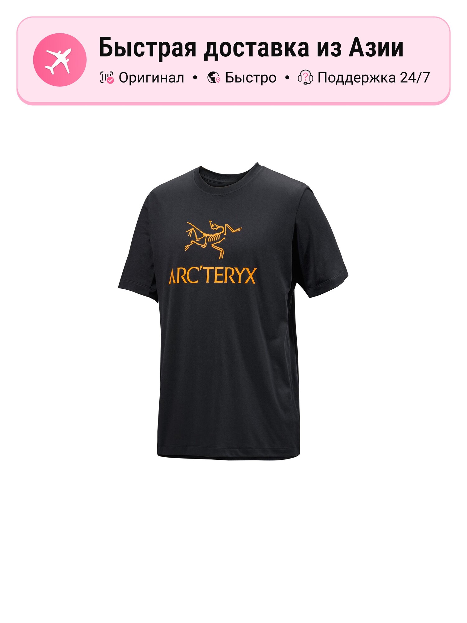 Футболка Arc'teryx Arc'Word