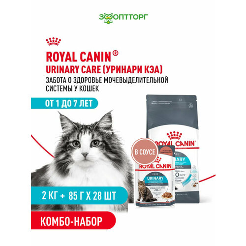 фото Комбо-набор royal canin сухой+влажный кусочки в соусе корм для профилактики мкб у кошек, птица, 2 кг х 85 г х 28 шт.