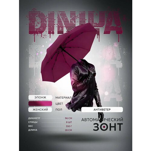 фото Зонт diniya