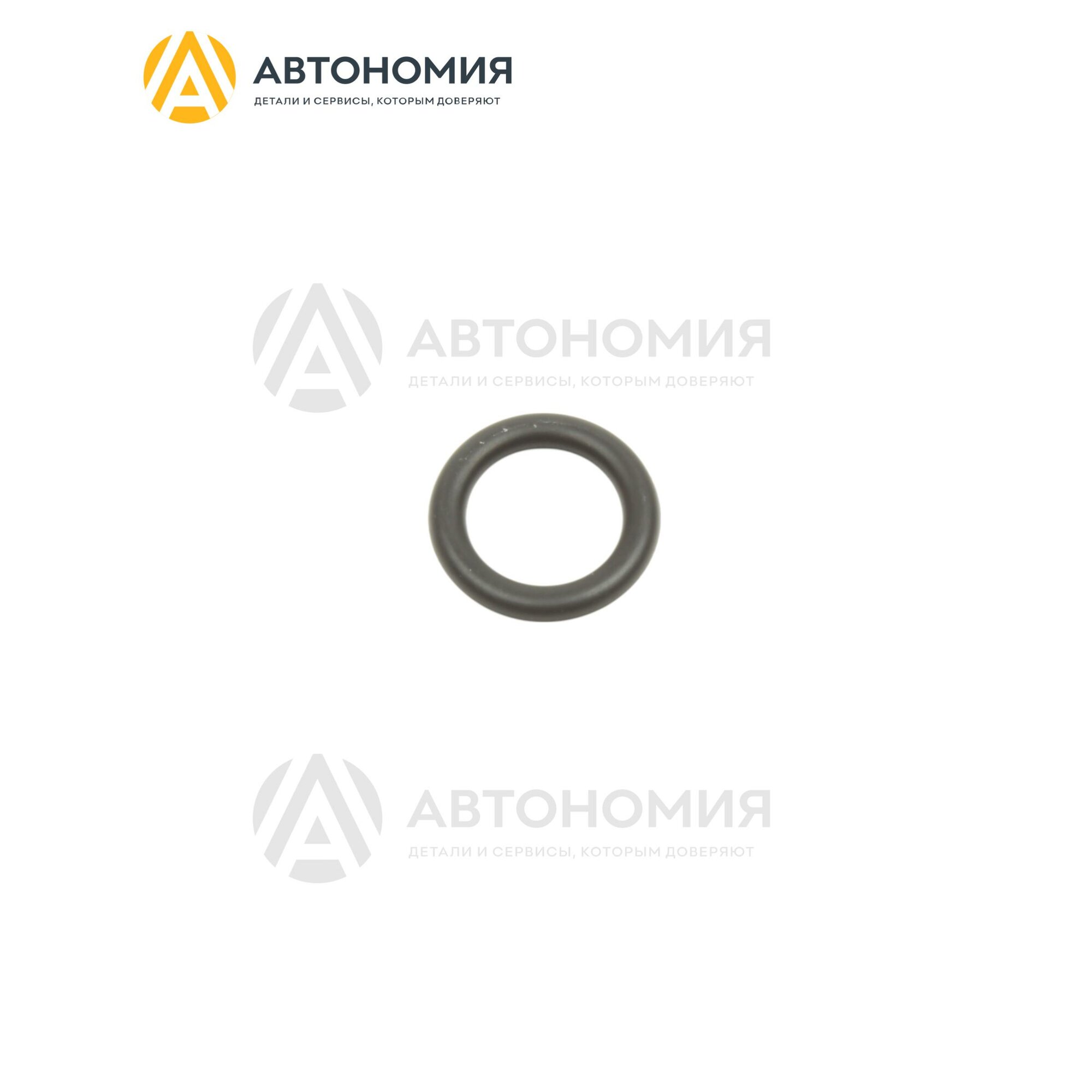 Кольцо топливной форсунки Mazda 8574-13-253