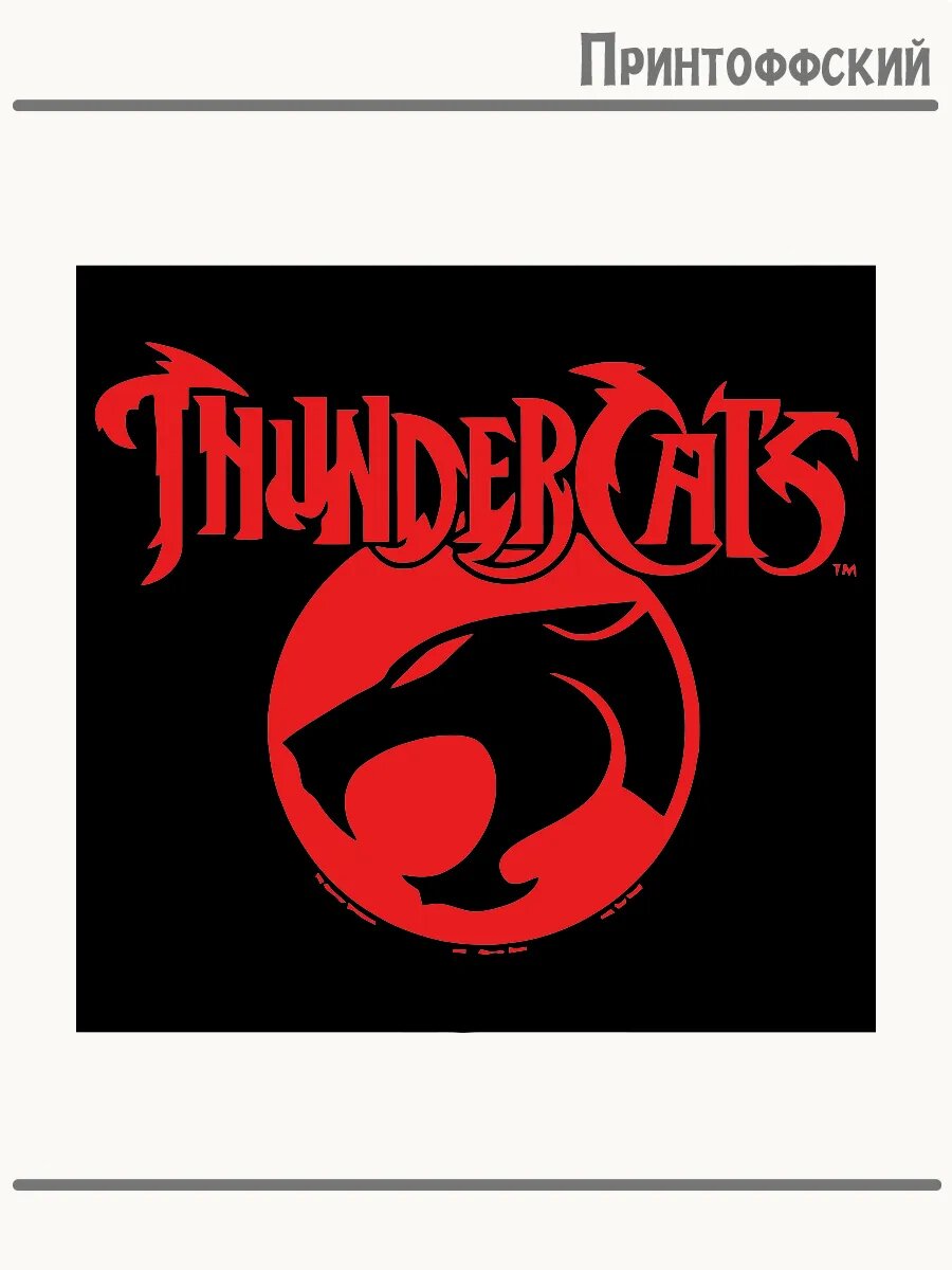 Термонаклейка для одежды и аксессуаров DTF-печать надпись thunder cats