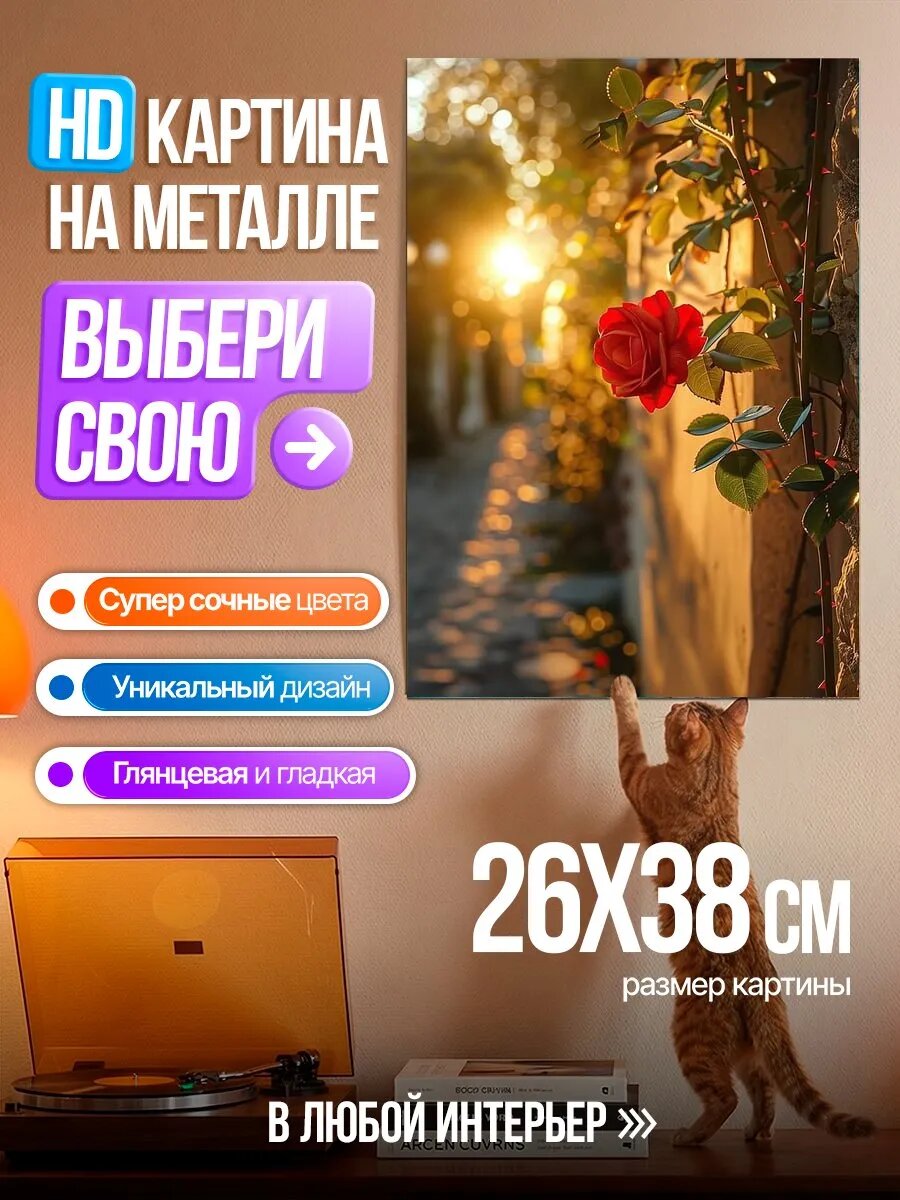 Картина на HD металле Роза на закате