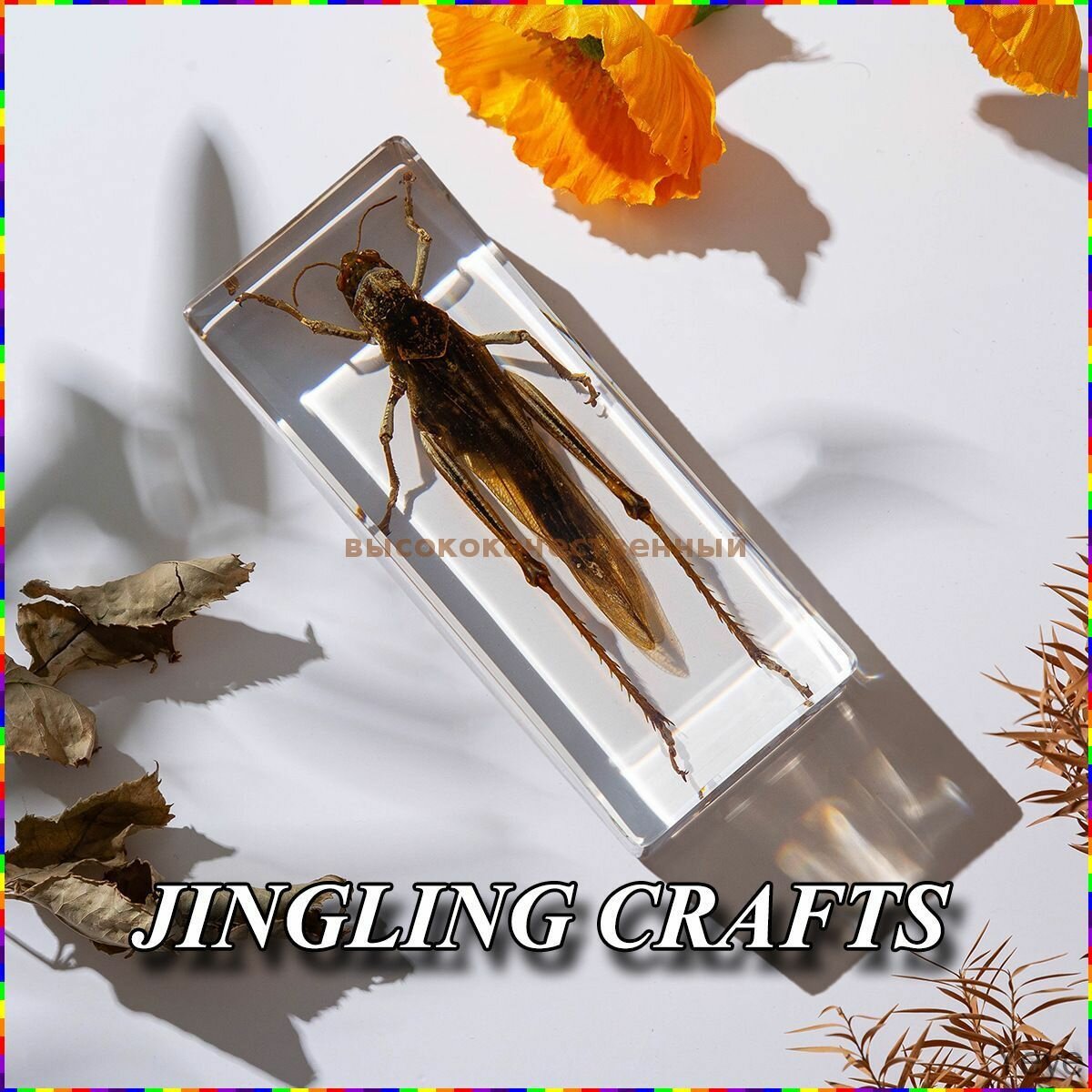Акриловый держатель для насекомых JINGLING CRAFTS прозрачный прямоугольный для коллекции и подарка