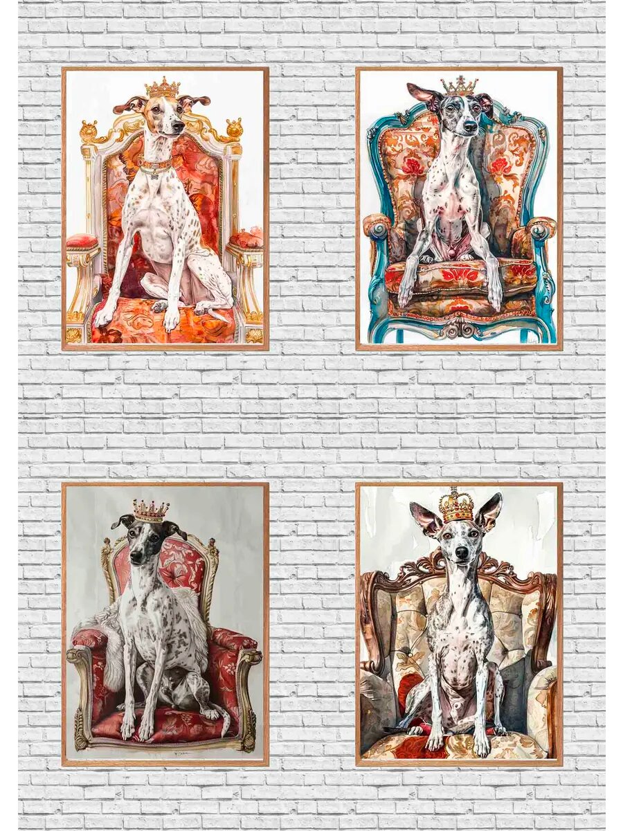 Уиппет-дог - королева Англии, 4 Плаката, 30x21см