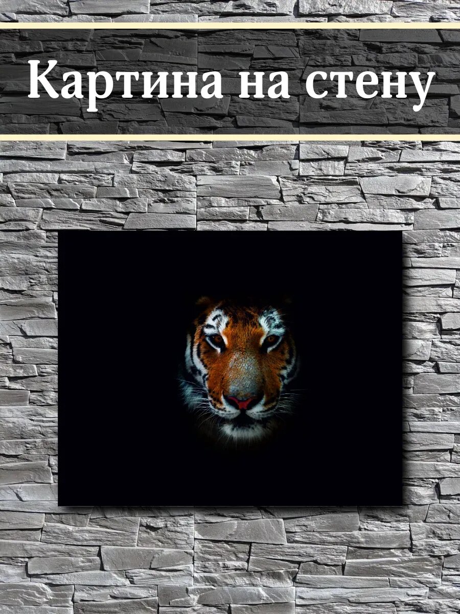 Картина на стену Тигр в темноте