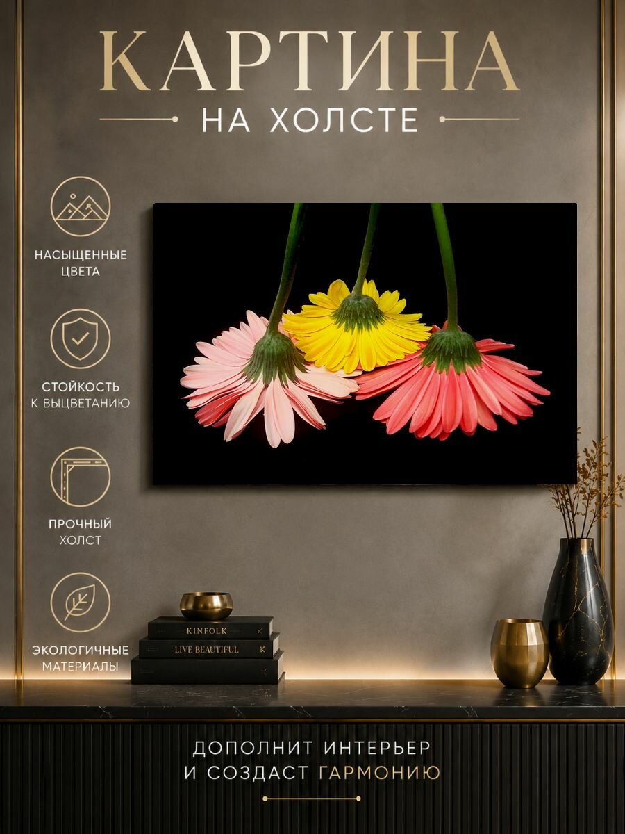 Картина на холсте Цветочный/герберы 30x20 см