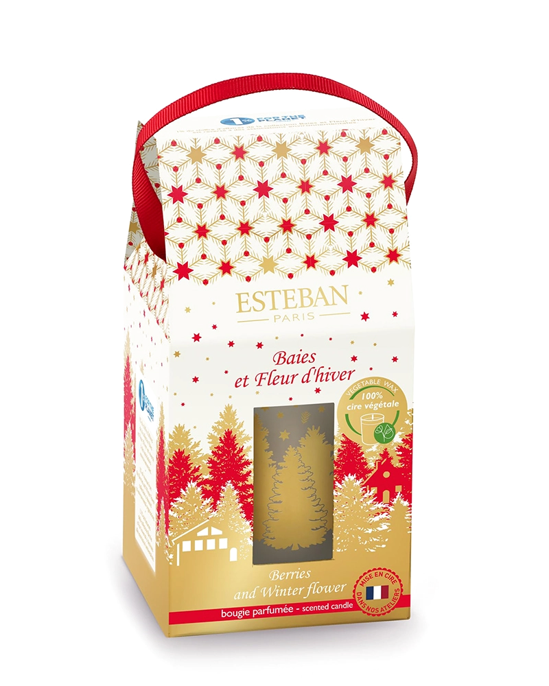 Свеча Esteban Berries and Winter Flower 180 гр - Эстебан Берриз Энд Винтер Флауэр для помещений