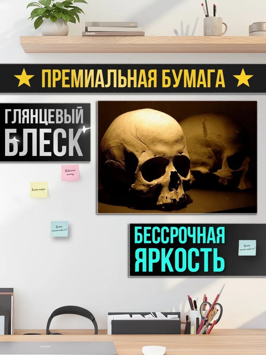 Плакат постер Два черепа — фото 1