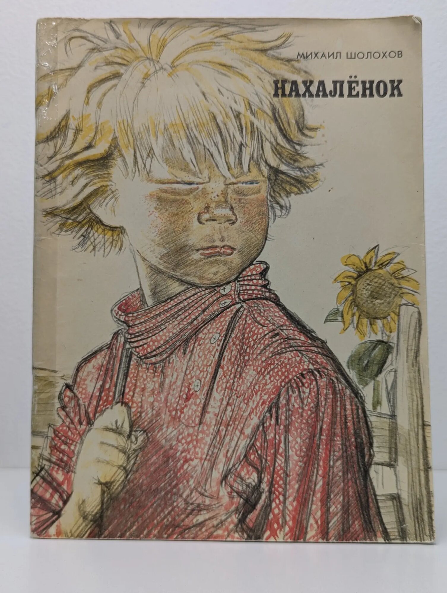 Нахалёнок Шолохов Михаил Александрович 1978