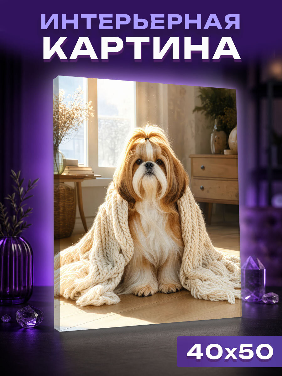 Интерьерная картина Ши-тцу в кашемировом пледе