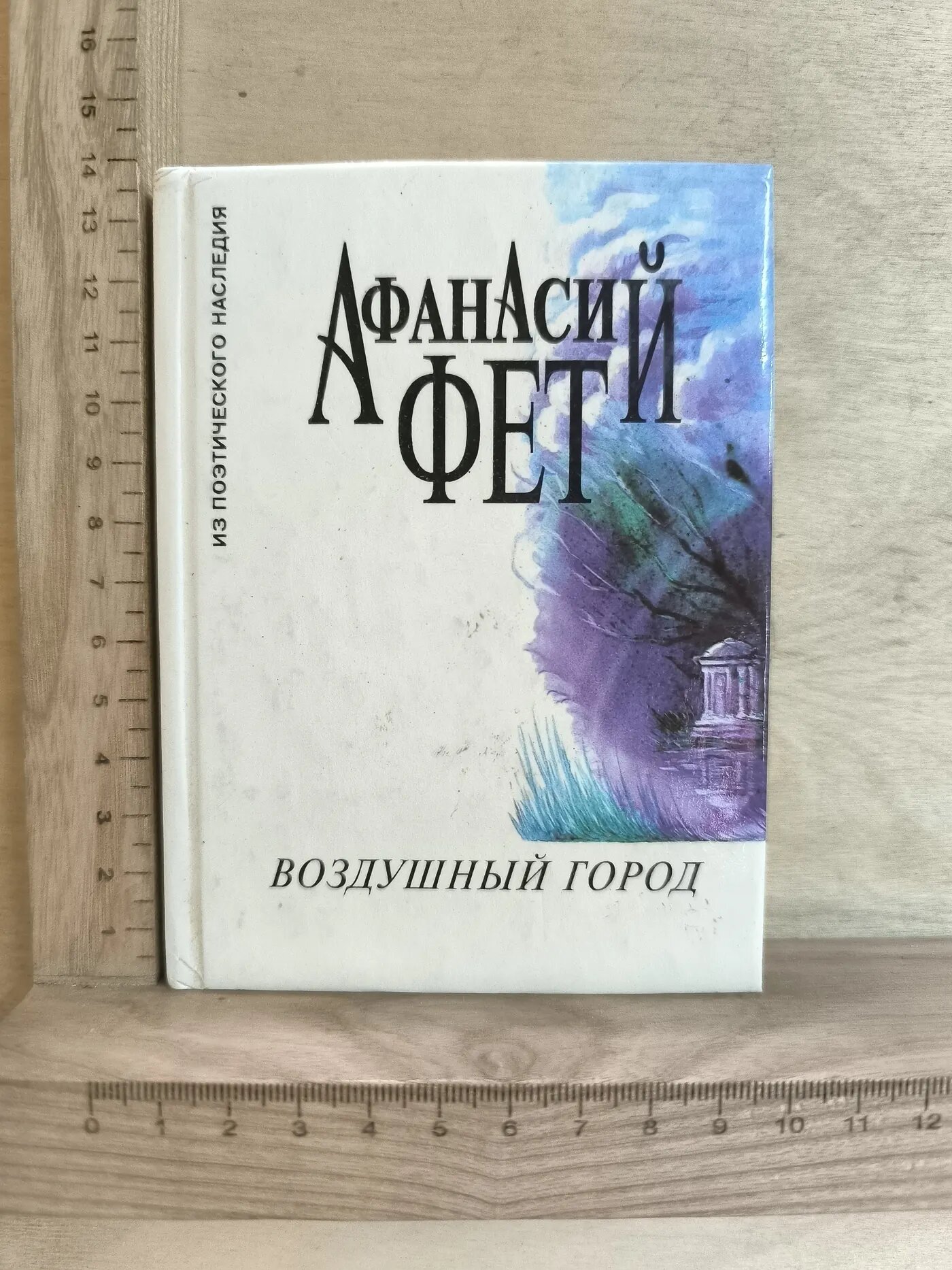 Воздушный город. Стихотворения 1840–1892 гг.