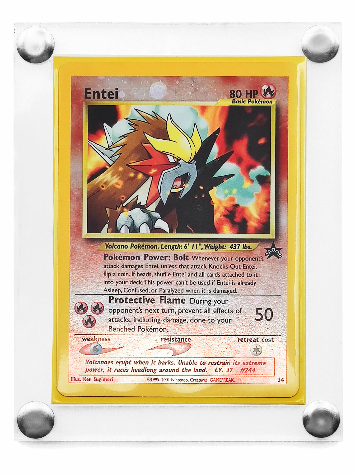 pokemon tcg pocket best card Entei Pokemon Card Holographic Credit Card Holographic Credit Card Skin –  Anime Town Creations