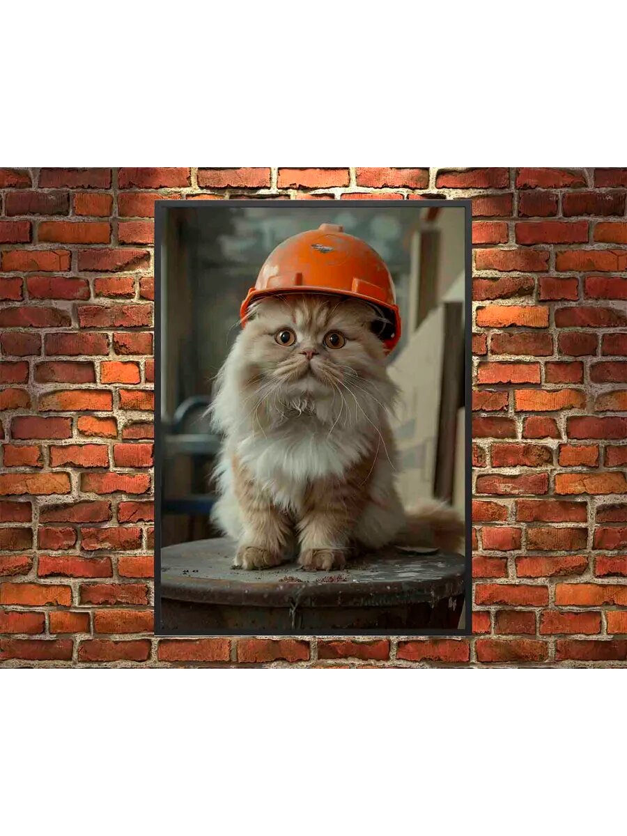 Британский длинношерстный кот-строитель 4, Плакат 30x42см