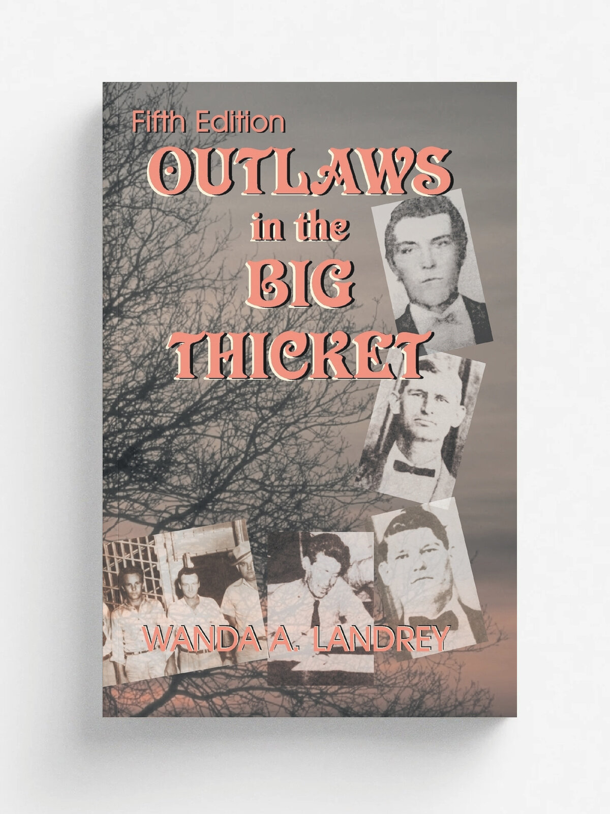 Outlaws in the Big Thicket