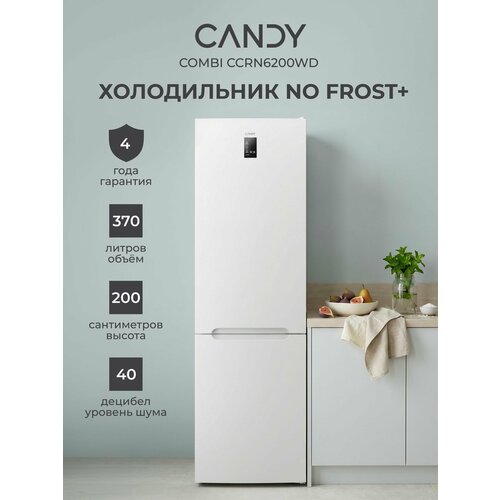 фото Холодильник candy ccrn6200sd