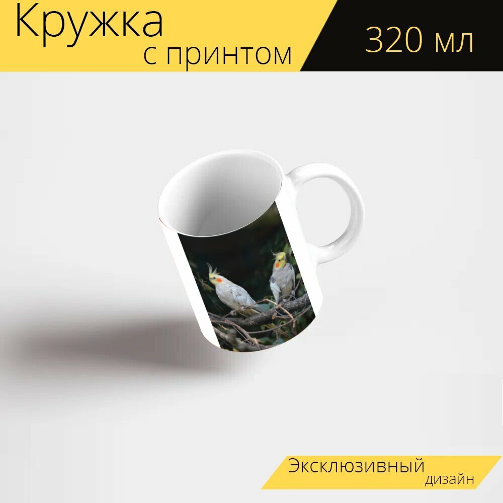 Кружка с рисунком, принтом "Корелла, карликовый попугай, попугаи" 320 мл.