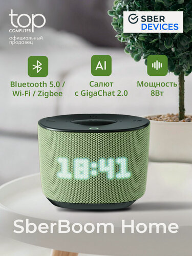 Изображение товара Умная колонка Sber Boom Home SBDV-00171VB Салют светло-зеленый 8W Mono BT/Wi-Fi, голосовое управление