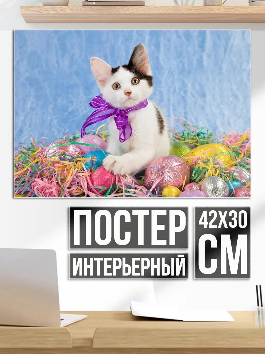 Плакат постер пасхальный котенок