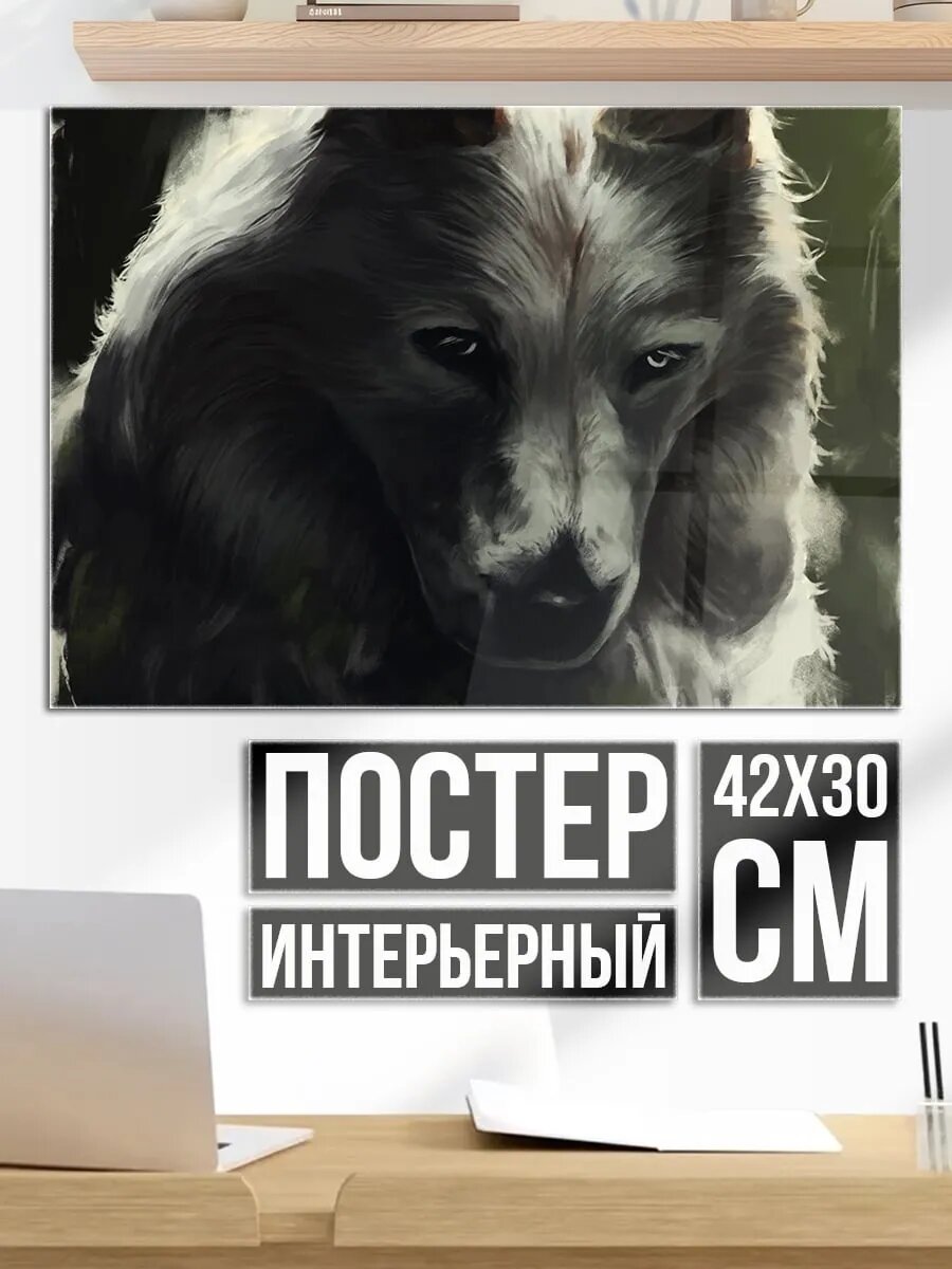 Плакат постер Волк в лесу