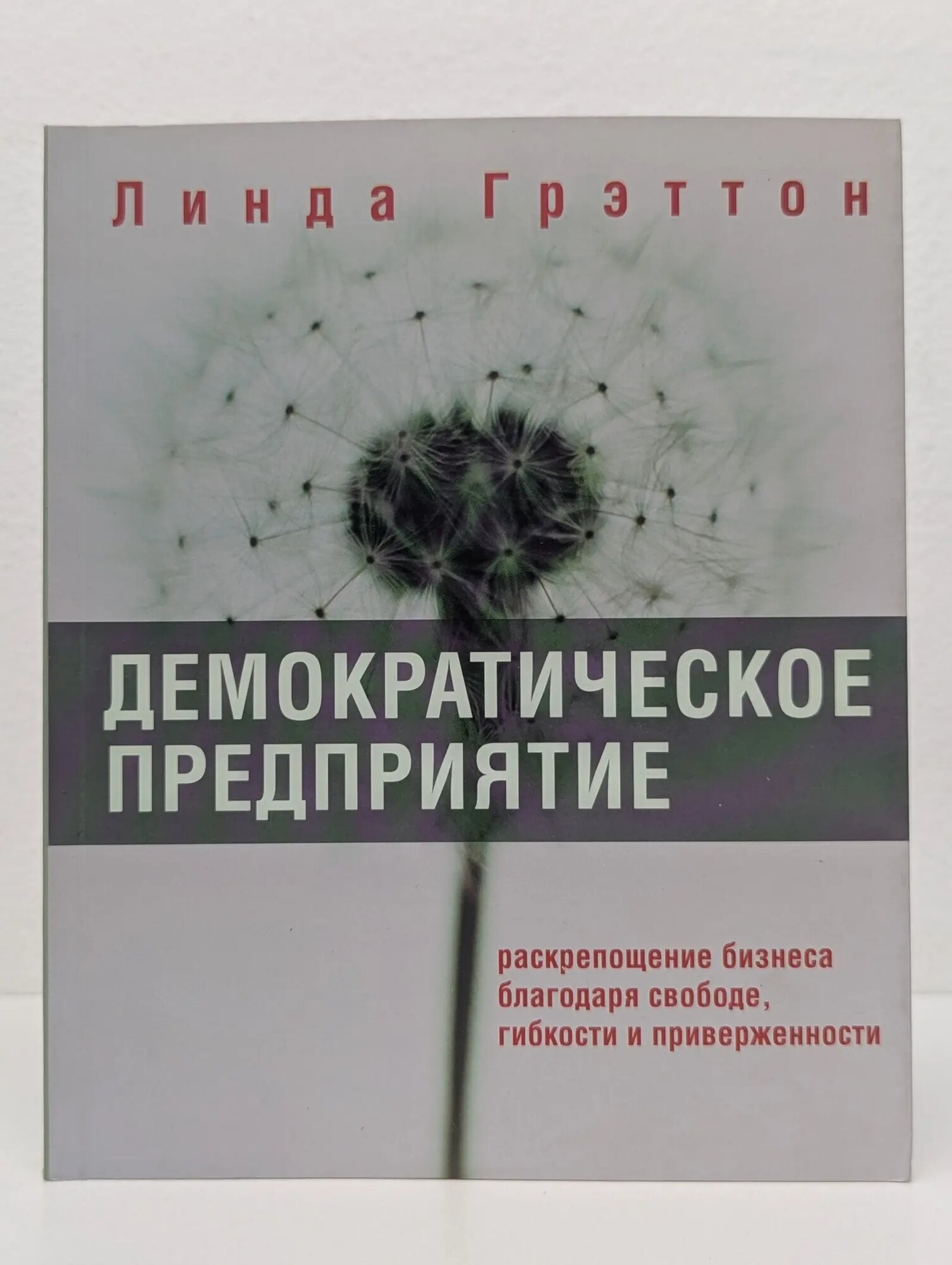 Демократическое предприятие Грэттон Линда 2005