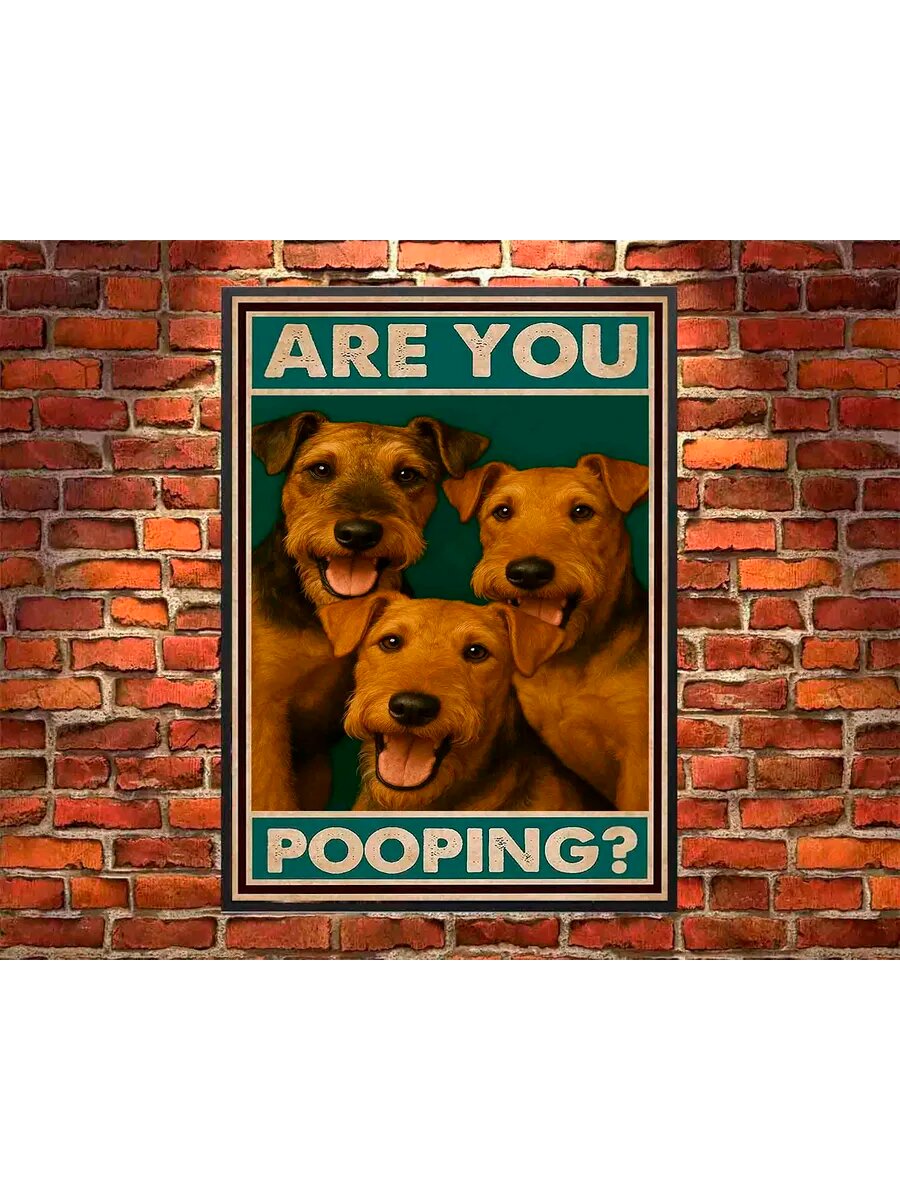 Собака породы Эрдельтерьер, Are You Pooping, Плакат 30x42см