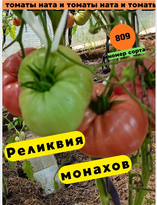 Коллекционные семена томата Реликвия монахов 10 шт
