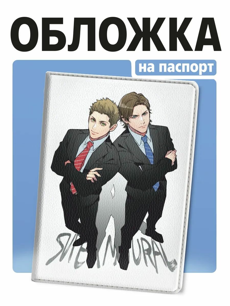 Обложка для паспорта КРАСНИКОВА